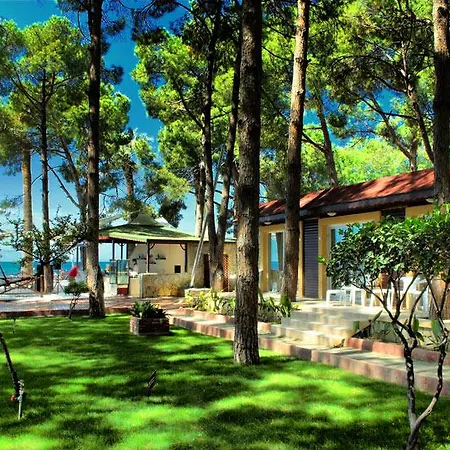 Hotell Omer Prime