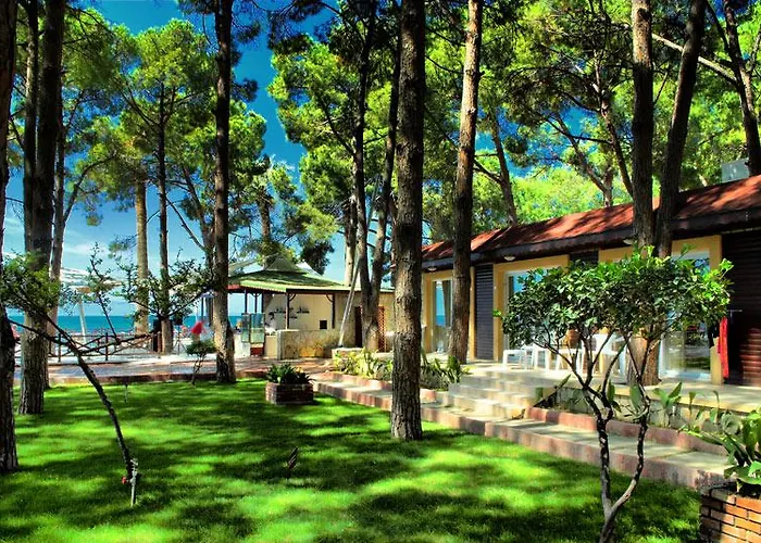Hotel Omer Prime